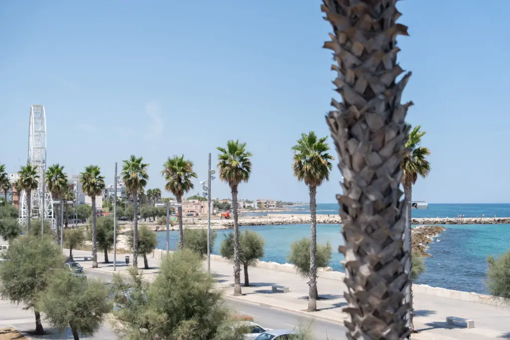 Perche Scegliere 129